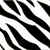 Color: 001 - Zebra