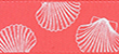 Color: 1008 - Shells