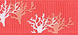 Color: 2002 - Coral