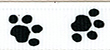 Color: 1004 - Paws- Black/White